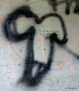 Graffiti (6)