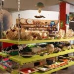 Gelungenes Ambiente
