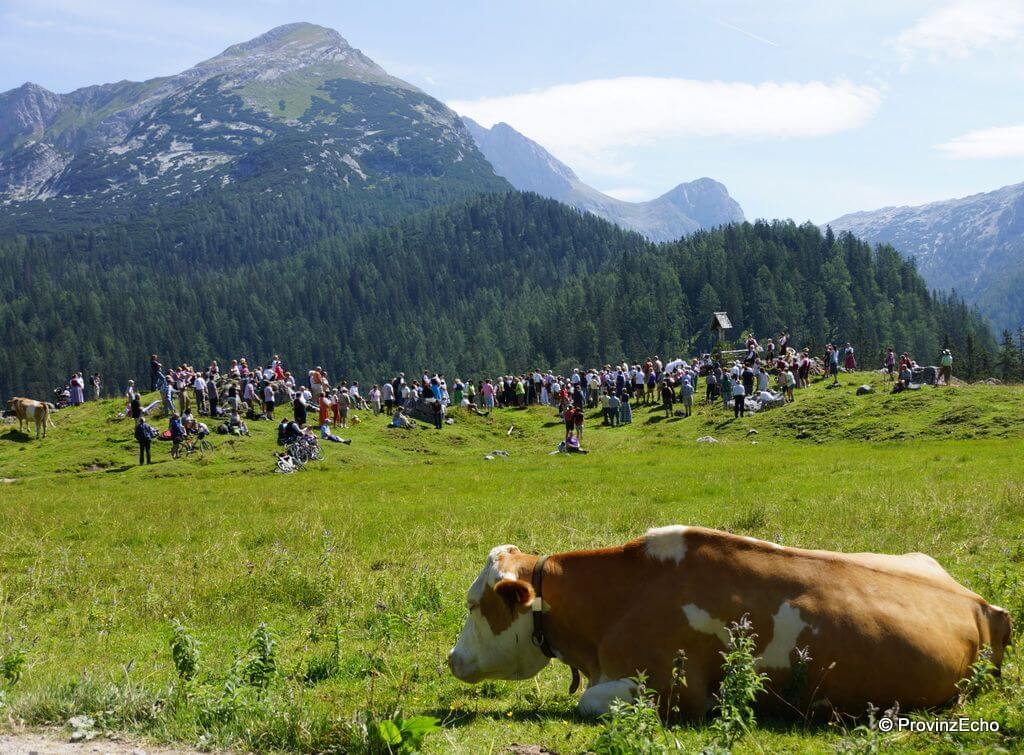Friedliches Miteinander