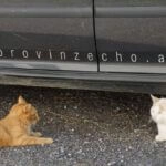 gemeinsames chillen