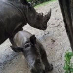 Zoo-040