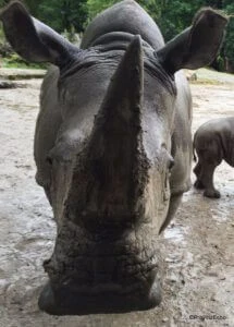 Zoo-047