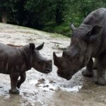 Zoo-048