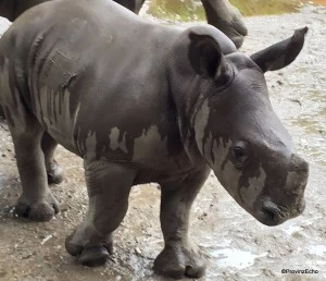 Zoo-053