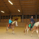 Reiterinnen und Reiter auf Pferden in einer beleuchteten Reithalle.