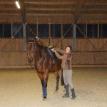 Reiterin mit Pferd in einem Reitstall, bereit zum Training oder Ausritt.